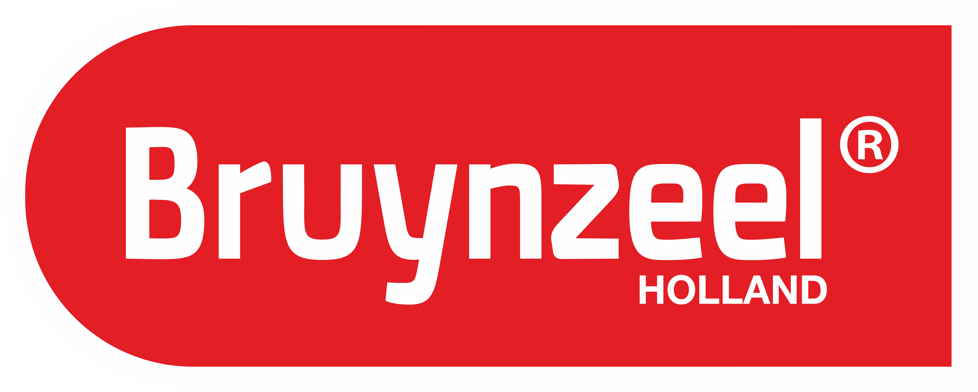 logo_bruynzeel